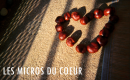 "Les Micros du Cœur", une création (…)