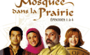 Les médias sur la diversité : les fictions (…)