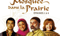 Les médias sur la diversité : les fictions remplacent la réalité